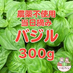 岡山産 とれたてバジル 3kg - メルカリ