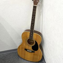 Sepia Crue FG-10/BLS アコースティックギター ブルー - メルカリ