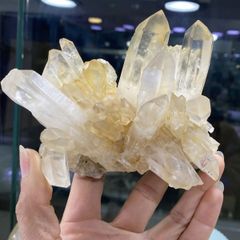 マダガスカル産シトリンクラスター｜651g｜木製台座付き・金運アップの