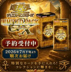 値下げしました！　レイキのプロモパックRR 値下げしました！ レイキのプロモパックRR - メルカリ