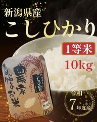 ラスト令和7年新米 コシヒカリ 千葉県いすみ市産 10キロ白米⭐︎無洗米