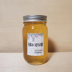 2025年産1年蜜[巣箱4]和歌山 古座川産 日本みつばちの蜜300gーー 天然 ミツバチ はちみつ　日本蜜蜂　無添加　非加熱のサムネイル