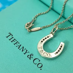 TIFFANY&Co.　 ティファニー　ホースシュー 馬蹄　ネックレス　レディース　メンズ　シルバー925 AG925 箱　保存袋　重量50.7gのサムネイル