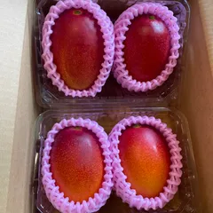 ⑦   宮崎　完熟　家庭用　マンゴー　４玉入り　約1k ※冷蔵発送※のサムネイル