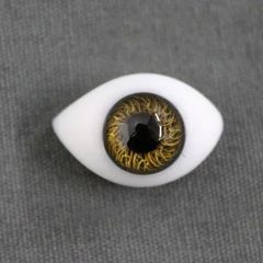 英国HCG社のペーパーウェイトグラスアイ（オーバル）22mm 用、ブラウン