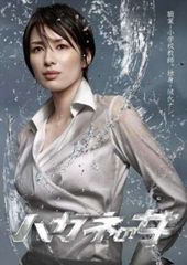 中古】 蜘蛛ですが、なにか？ (8巻セット) [レンタル落ち] [DVD