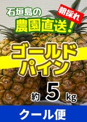 数量限定】石垣島産ゴールドバレル5kg (サイズ/個数おまかせ) - メルカリ