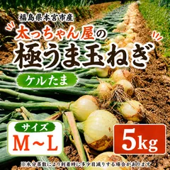 太っちゃん屋の極うま玉ねぎ　ケルたま5kg M〜Lのサムネイル