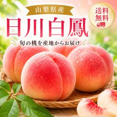 山梨県産 夢桃香 硬い桃 青秀品 5kg箱 - メルカリ