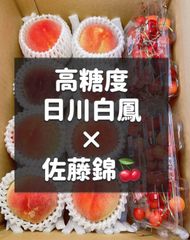 M様 山梨県産 天然の桃ジュース 日川白鳳 5kg箱 - メルカリ