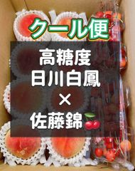 高糖度レーニアチェリー 2kg ご家庭用 - メルカリ