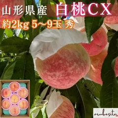 早期予約特価■硬い桃　山形県産 白桃CX（シーエックス）　約2㎏ 5～9玉 秀 10月上旬のサムネイル