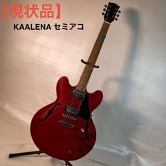Tony Smith セミアコ ハードケース付き 破損箇所あり ES-335 - メルカリ
