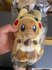 ポケモンセンター限定 ぬいぐるみ メガデンリュウのポンチョを着た
