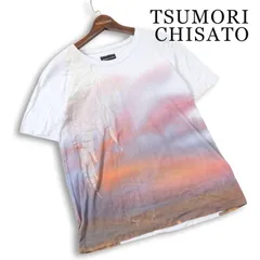 TSUMORI CHISATO ツモリチサト 春夏★ 半袖 プリント グラデーション 夕景 Tシャツ Sz.F レディースのサムネイル