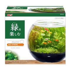 GEX ジェックス 匠の技が生きる金魚鉢 大サイズ - メルカリ