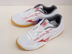 ★8364☆MIZUNO ミズノ スクールインドアシューズ G1GA240262 体育館シューズ 上履き 室内用 学校　未使用美品　24.5㎝のサムネイル