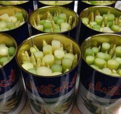 青森県産 根曲がり竹 缶詰 2缶 - メルカリ