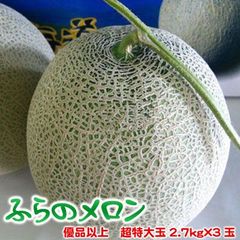 超希少・幻のメロン】茨城県産 優香（ゆうか） 特大3Lサイズ 2個 送料