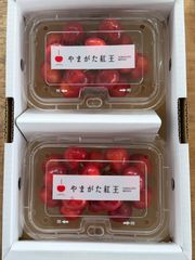 お やまがた紅王 家庭用 1kg詰め 2，3Lメイン全サイズ 画像が現物 