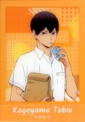 ハイキュー キャラナップコレクション 第3弾 日向翔陽 田中龍之介