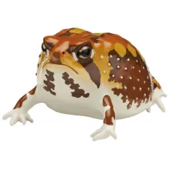 【中古】トレーディングフィギュア アメフクラガエル(オレンジ) 「ネイチャーテクニカラー ツヤツヤのフクラガエル」のサムネイル