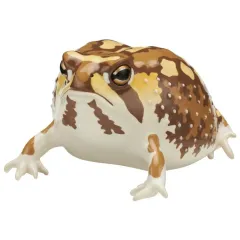 【中古】トレーディングフィギュア アメフクラガエル(イエロー) 「ネイチャーテクニカラー ツヤツヤのフクラガエル」のサムネイル