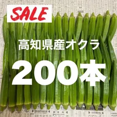 200本 高知県産 オクラ 野菜 即購入OK 産地直送 kRpのサムネイル