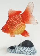 【中古】トレーディングフィギュア パールスケール 「原色図鑑シリーズ 原色観賞魚図鑑I (改訂増補版)」のサムネイル