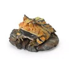 【中古】トレーディングフィギュア アマゾンツノガエル(ブラウン) 「いきもの大図鑑ミニコレクション 両生類02」のサムネイル