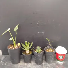 メルカリ