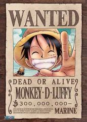 ONE PIECE 海軍発行公式手配書 モンキー・D・ルフィ【第3弾】 - メルカリ