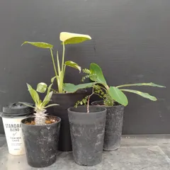 メルカリ