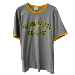 ～00s メキシコ製 Champion 半袖 プリントTシャツ L グレー チャンピオン ～00年代 リンガーTシャツ コットン カットソー 夏物 a806-6700のサムネイル