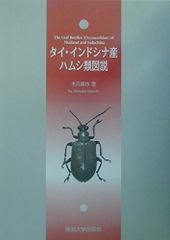 外国産蝶標本☆【絶滅種】ヒイロツマベニチョウ♂♀標本☆ペレン島産