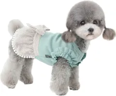 [Lady glamour] フリル袖 異素材 ドッキング ワンピース ストライプ スカート ペット用 ドッグ ウエア 小型犬 中型犬 犬服 猫服 (水色, S)のサムネイル