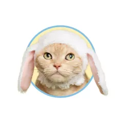 2026年最新】ねこうさぎちゃんの人気アイテム - メルカリ