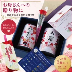 【8割引】 新茶 プレゼント ギフト お茶 2026年 八女茶 煎茶 玉露ティーバッグ HG-25 八女茶の里のサムネイル