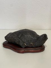 本物 デボン紀中期 三葉虫綱目 メタカンシナSP 化石 モロッコ - メルカリ