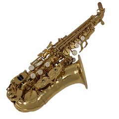 今月1本限定！超希少】新品ソプラノサックス — 豊かな響き！豪華特典