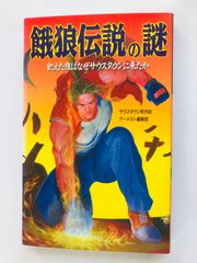 餓狼伝説3 公式 秦の秘伝書 攻略本 ガイド 初版 Fatal Fury 3 Road to