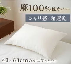 【C品・訳あり大放出】麻100% 枕カバー(45×65cm)さらっと快適・天然素材 223-525-45のサムネイル