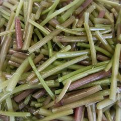 秋田県産天然 山菜 カットミズ5㎏ - メルカリ
