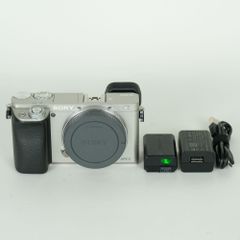 SONY α6300 ILCE-6300 海外モデル シャッター数958回 - メルカリ