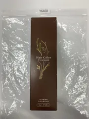Y6460 RJ ヘアカラートリートメント b ライトブラウン 210gのサムネイル