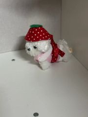 マルチーズの赤ちゃんぬいぐるみ - メルカリ