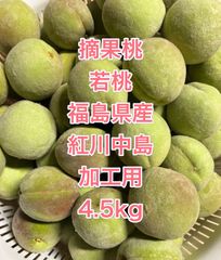 摘果桃 若桃 福島県産 加工用 25玉 - メルカリ 若桃加工用２５キロ