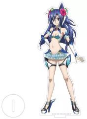 希少品・レア】空の軌跡3rd Evolution タペストリー 水着 美少女