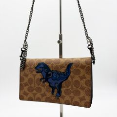 限定品‼️❤️COACH❤️レキシー サーフィン お財布 ショルダーバッグ 限定品‼️❤️COACH❤️レキシー サーフィン お財布 ショルダーバッグ
