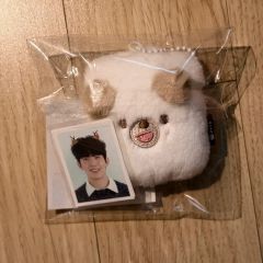 ミセス 藤澤涼架韓国ソウルコン キーホルダー＋大森元貴サイン入り